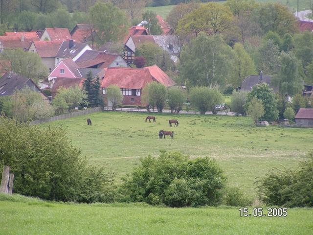 Blick auf Haferungen